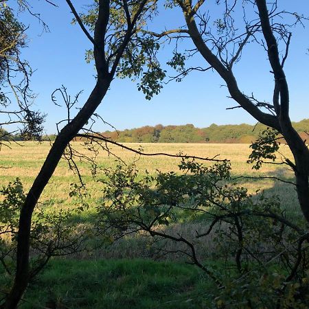 Old Hunters Lodge Whipsnade Limited Esterno foto