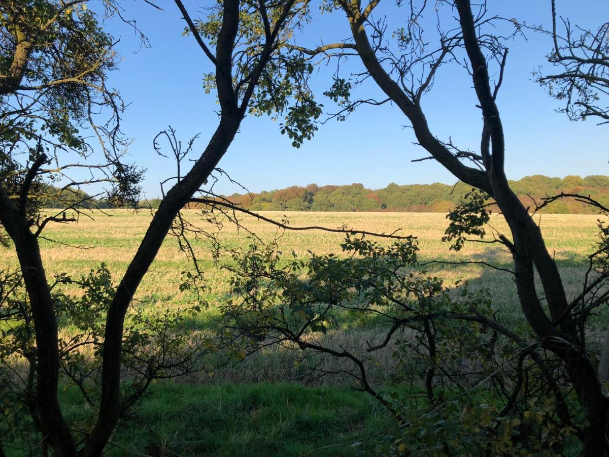 Old Hunters Lodge Whipsnade Limited Esterno foto